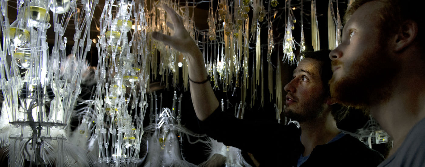 Horizontal detail showing responsive sculpture in installation environment